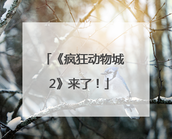 《疯狂动物城2》来了！