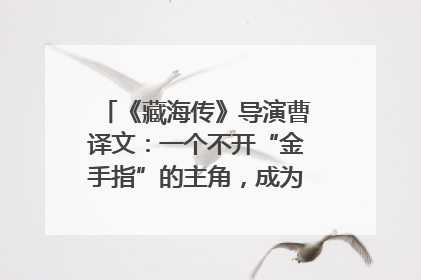 《藏海传》导演曹译文：一个不开“金手指”的主角，成为苍生守护者