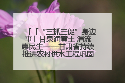 「“三抓三促”身边事」甘泉润黄土 涓流惠民生——甘肃省持续推进农村供水工程巩固提升项目建设