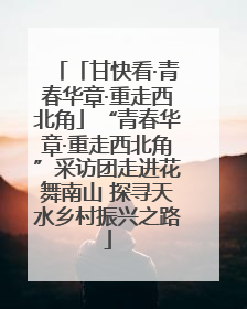 「甘快看·青春华章·重走西北角」“青春华章·重走西北角”采访团走进花舞南山 探寻天水乡村振兴之路