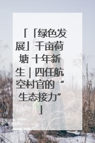 「绿色发展」千亩荷塘 十年新生｜四任航空村官的“生态接力”