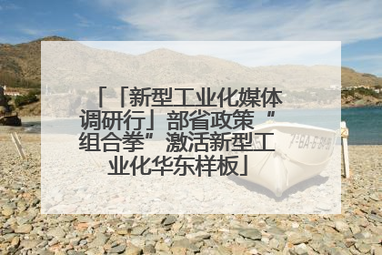 「新型工业化媒体调研行」部省政策“组合拳”激活新型工业化华东样板