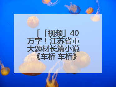 「视频」40万字！江苏省重大题材长篇小说《车桥 车桥》在淮安首发！
