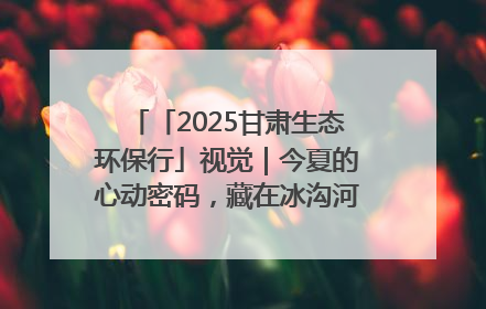 「2025甘肃生态环保行」视觉｜今夏的心动密码，藏在冰沟河的潋滟波光里