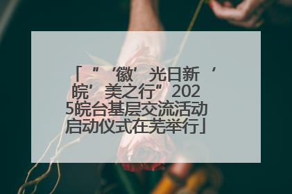 “‘徽’光日新‘皖’美之行”2025皖台基层交流活动启动仪式在芜举行