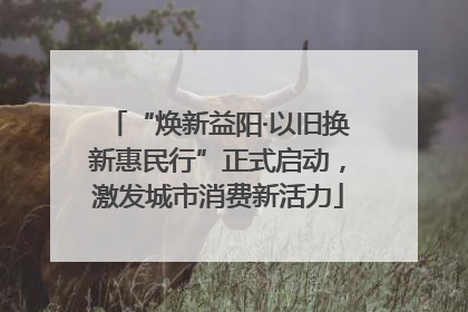 “焕新益阳·以旧换新惠民行”正式启动，激发城市消费新活力