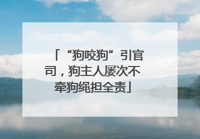 “狗咬狗”引官司，狗主人屡次不牵狗绳担全责