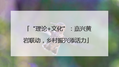 “理论+文化”：嘉兴黄岩联动，乡村振兴添活力