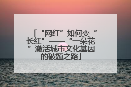 “网红”如何变“长红”——“一朵花”激活城市文化基因的破题之路