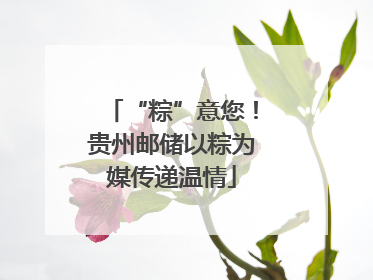“粽”意您！贵州邮储以粽为媒传递温情