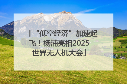 “低空经济”加速起飞！杨浦亮相2025世界无人机大会
