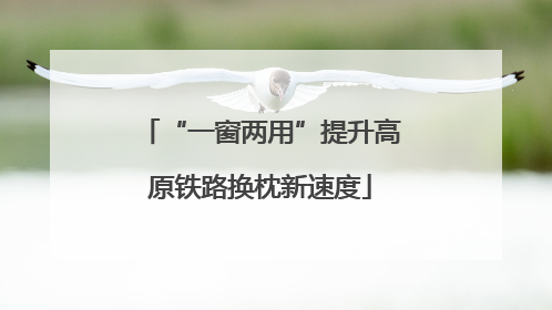 “一窗两用”提升高原铁路换枕新速度