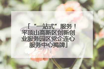 “一站式”服务！平顶山高新区创新创业服务园区党企连心服务中心揭牌