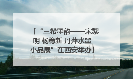“三希墨韵——宋黎明 杨稳新 丹萍水墨小品展”在西安举办
