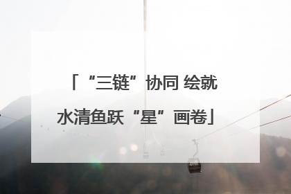 “三链”协同 绘就水清鱼跃“星”画卷