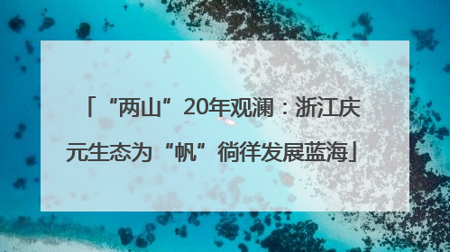 “两山”20年观澜：浙江庆元生态为“帆”徜徉发展蓝海