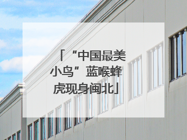 “中国最美小鸟”蓝喉蜂虎现身闽北