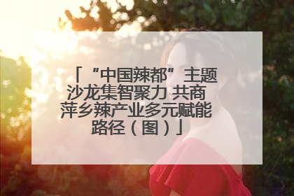 “中国辣都”主题沙龙集智聚力 共商萍乡辣产业多元赋能路径（图）