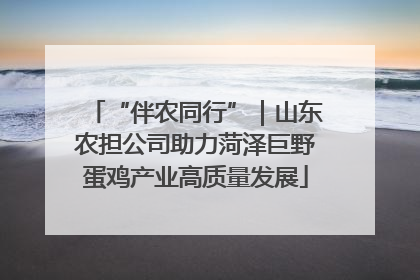 “伴农同行”｜山东农担公司助力菏泽巨野蛋鸡产业高质量发展