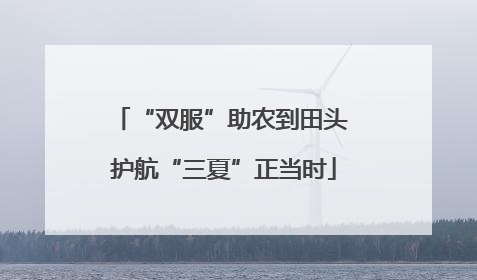 “双服”助农到田头 护航“三夏”正当时