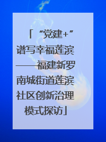“党建+”谱写幸福莲滨——福建新罗南城街道莲滨社区创新治理模式探访