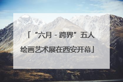 “六月 - 跨界”五人绘画艺术展在西安开幕