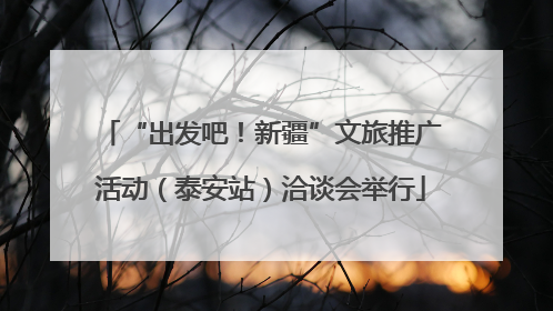 “出发吧！新疆”文旅推广活动（泰安站）洽谈会举行