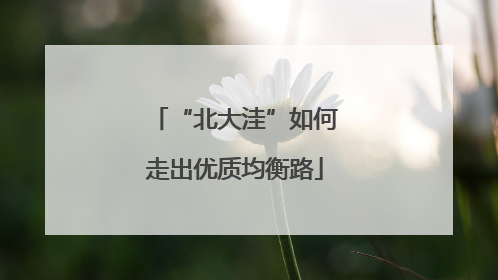 “北大洼”如何走出优质均衡路