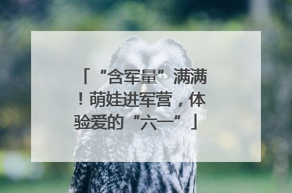 “含军量”满满！萌娃进军营，体验爱的“六一”