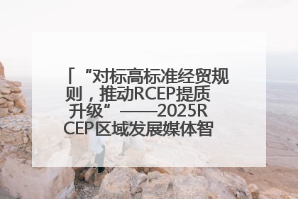 “对标高标准经贸规则，推动RCEP提质升级”——2025RCEP区域发展媒体智库论坛举行专题对话