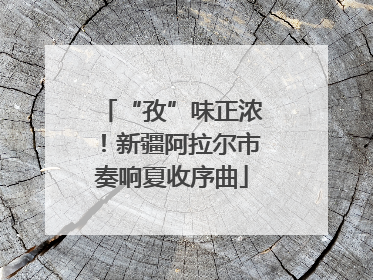 “孜”味正浓！新疆阿拉尔市奏响夏收序曲