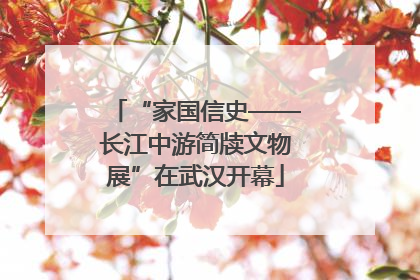 “家国信史——长江中游简牍文物展”在武汉开幕