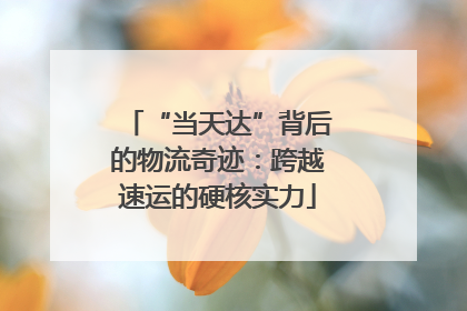“当天达”背后的物流奇迹：跨越速运的硬核实力