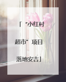 “小红村超市”项目落地安吉