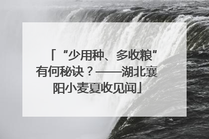 “少用种、多收粮”有何秘诀？——湖北襄阳小麦夏收见闻