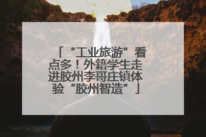 “工业旅游”看点多！外籍学生走进胶州李哥庄镇体验“胶州智造”