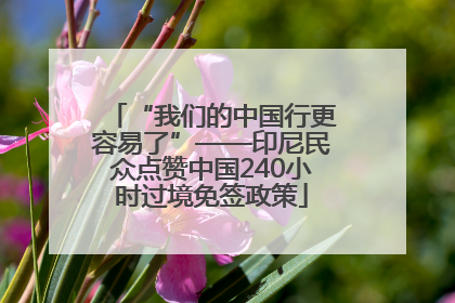 “我们的中国行更容易了”——印尼民众点赞中国240小时过境免签政策