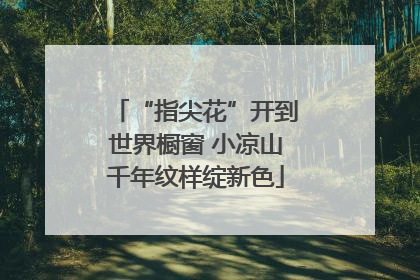 “指尖花”开到世界橱窗 小凉山千年纹样绽新色