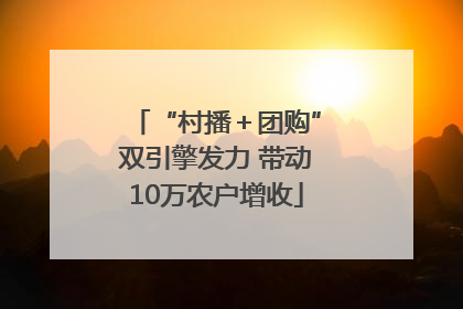 “村播＋团购”双引擎发力 带动10万农户增收