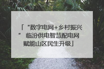 “数字电网+乡村振兴” 临汾供电智慧配电网赋能山区民生升级