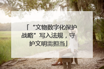 “文物数字化保护战略”写入法规，守护文明需担当