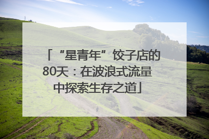 “星青年”饺子店的80天：在波浪式流量中探索生存之道