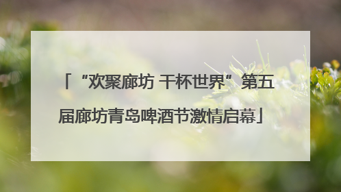 “欢聚廊坊 干杯世界”第五届廊坊青岛啤酒节激情启幕