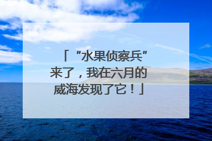 “水果侦察兵”来了，我在六月的威海发现了它！