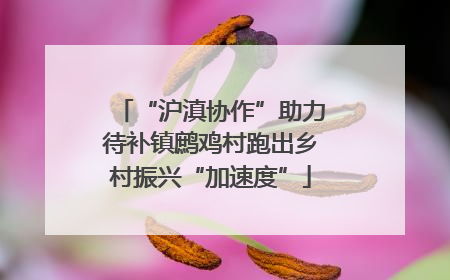 “沪滇协作”助力待补镇鹧鸡村跑出乡村振兴“加速度”