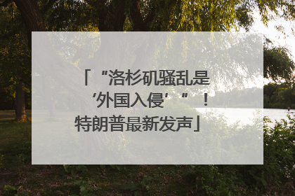 “洛杉矶骚乱是‘外国入侵’”！特朗普最新发声