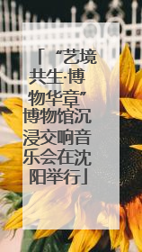 “艺境共生·博物华章”博物馆沉浸交响音乐会在沈阳举行