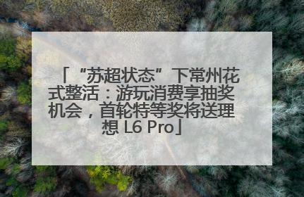 “苏超状态”下常州花式整活：游玩消费享抽奖机会，首轮特等奖将送理想 L6 Pro