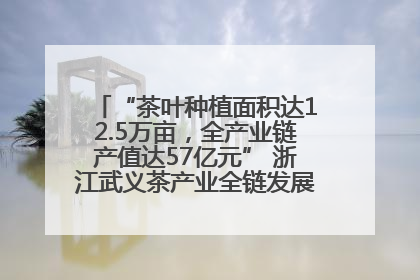“茶叶种植面积达12.5万亩，全产业链产值达57亿元” 浙江武义茶产业全链发展“加速度”