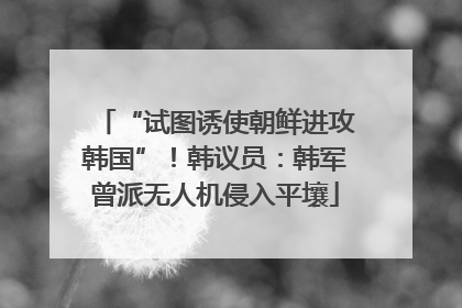 “试图诱使朝鲜进攻韩国”！韩议员：韩军曾派无人机侵入平壤